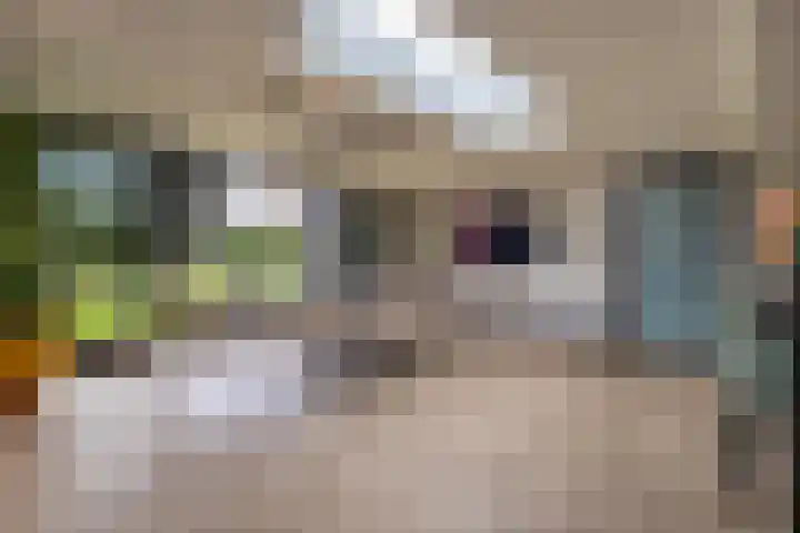 Erve Borgerinck 9 Enter thumbnail 9
