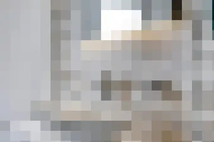 Erve Broenink 41 Oldenzaal thumbnail 22