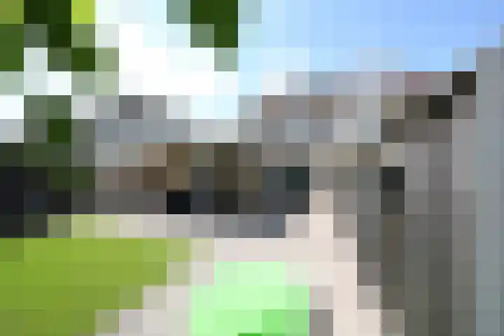Erve Broenink 41 Oldenzaal thumbnail 26