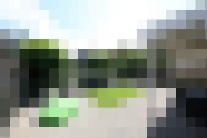 Erve Broenink 41 Oldenzaal thumbnail 29