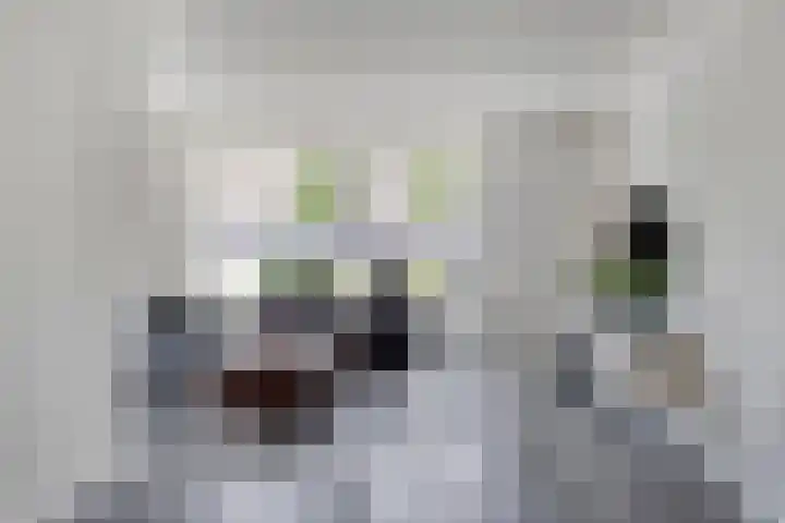 Erve Broenink 41 Oldenzaal thumbnail 5