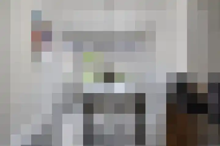 Erve Broenink 41 Oldenzaal thumbnail 9