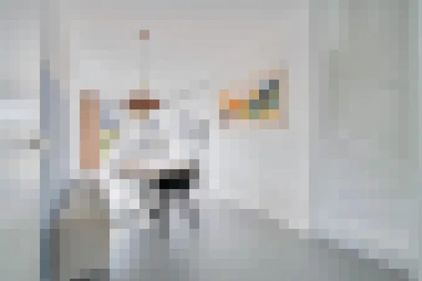 Erve Brooks 22 Biddinghuizen thumbnail 11