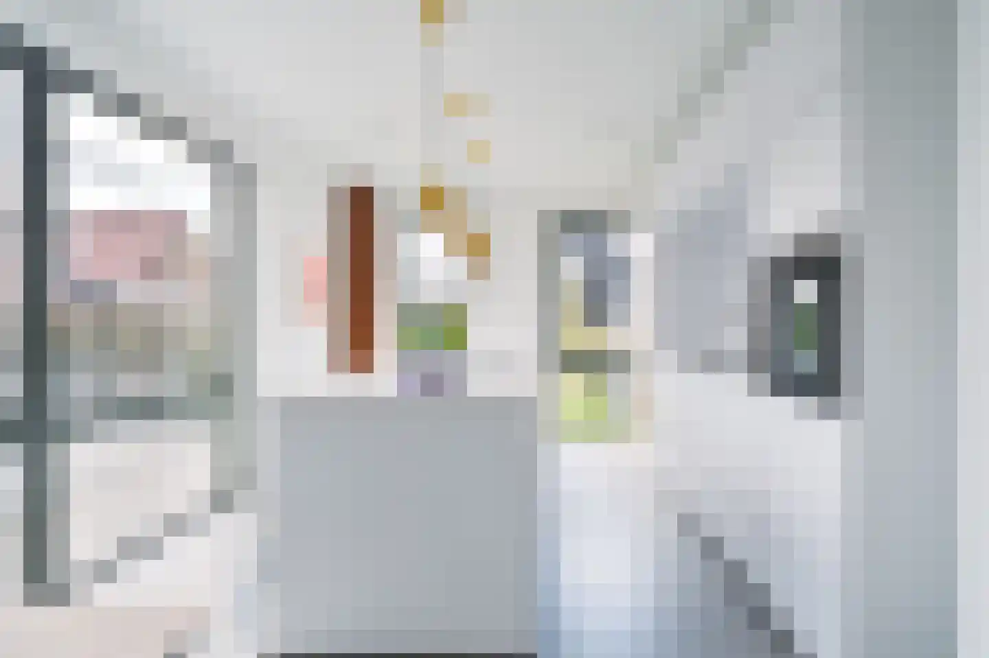 Erve Brooks 22 Biddinghuizen thumbnail 13