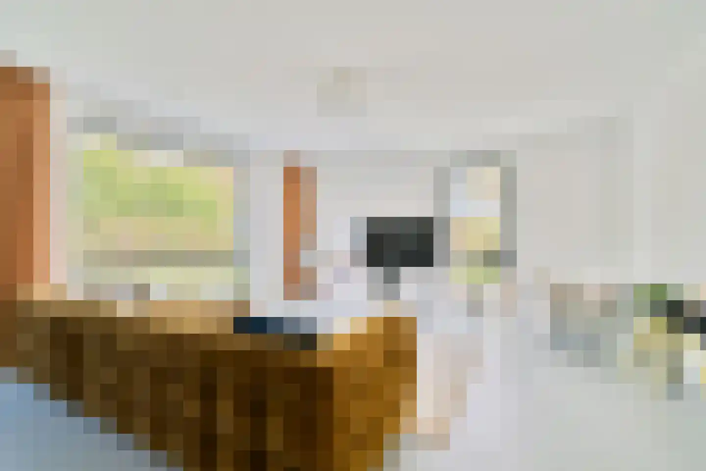 Erve Brooks 22 Biddinghuizen thumbnail 19