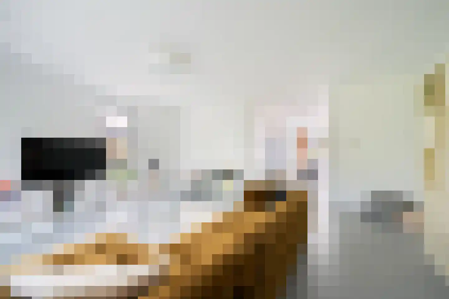 Erve Brooks 22 Biddinghuizen thumbnail 21