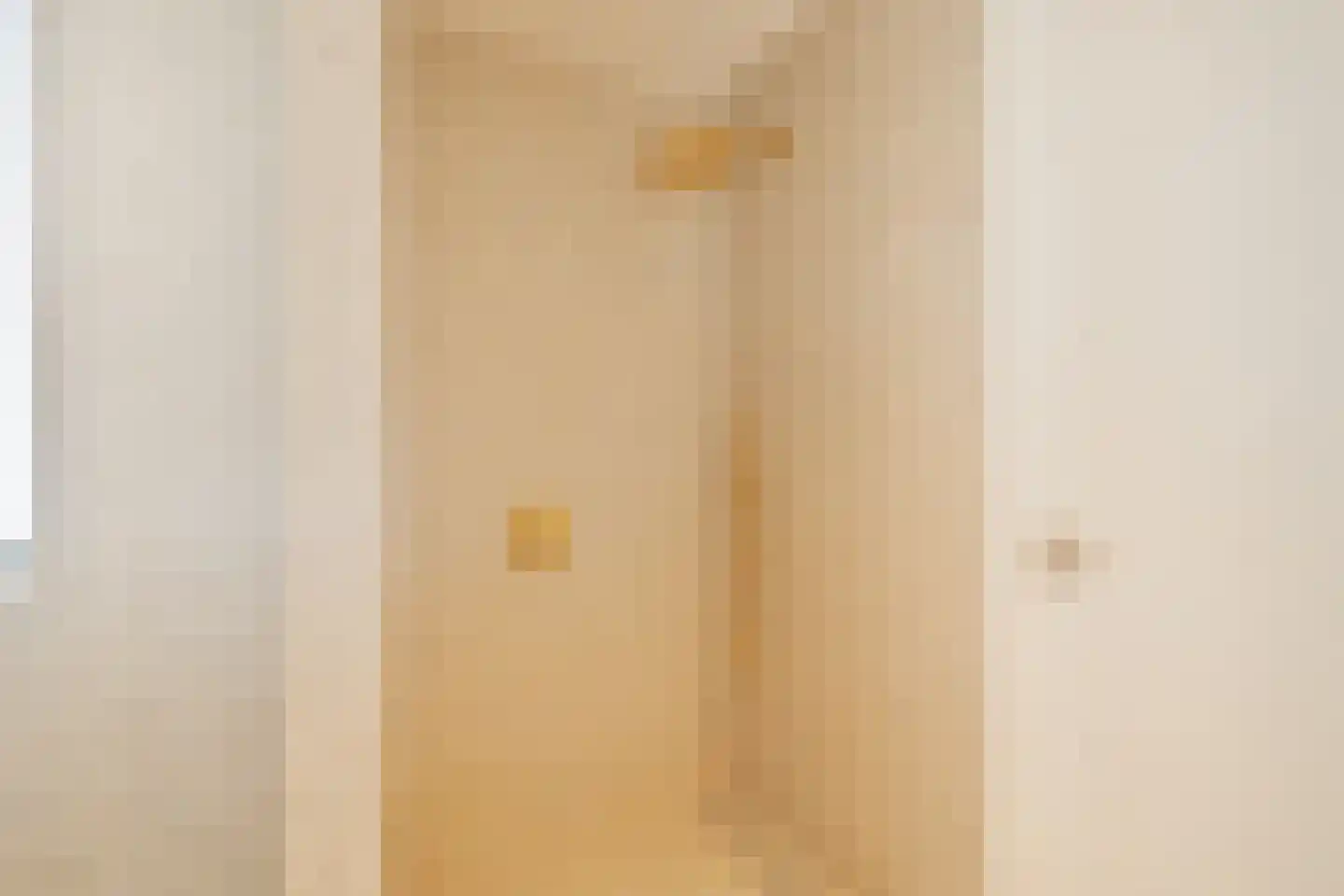 Erve Brooks 22 Biddinghuizen thumbnail 26