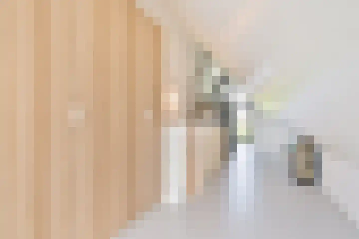 Erve Brooks 22 Biddinghuizen thumbnail 31