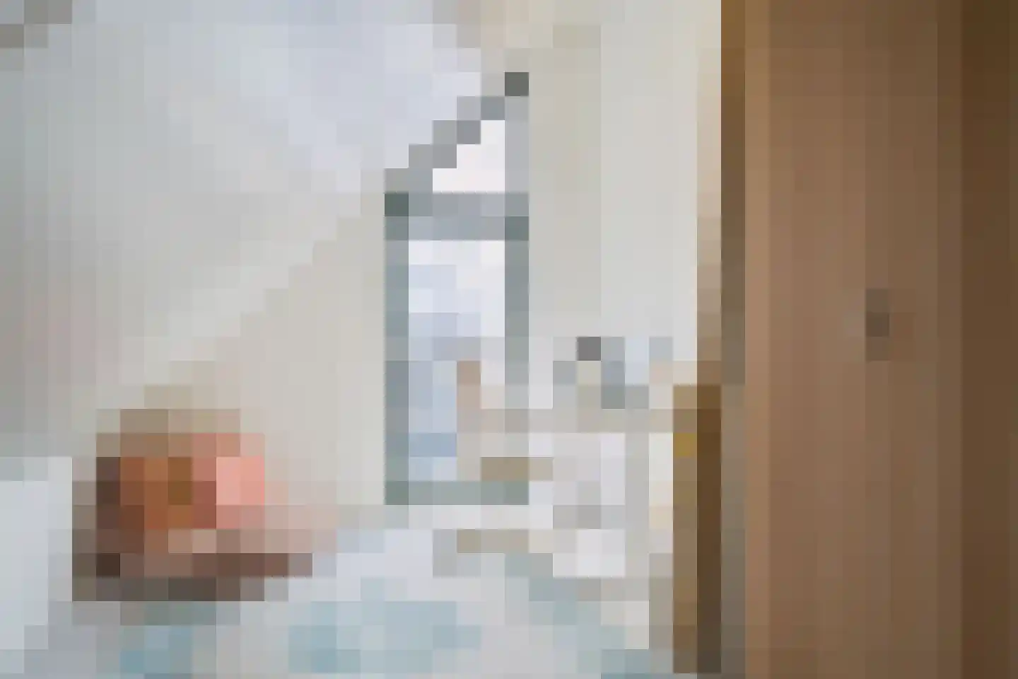 Erve Brooks 22 Biddinghuizen thumbnail 32