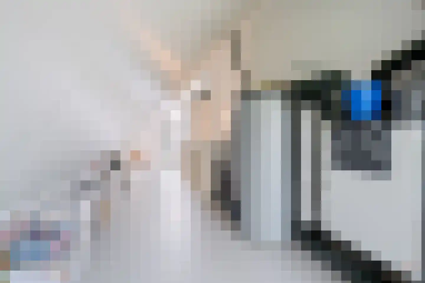Erve Brooks 22 Biddinghuizen thumbnail 33