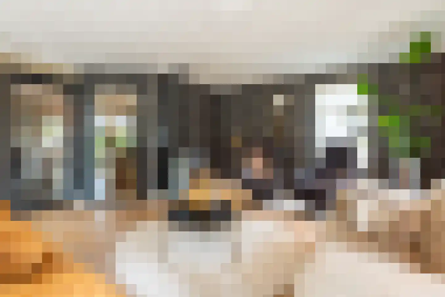Erve Campjan 16 Rijssen thumbnail 10