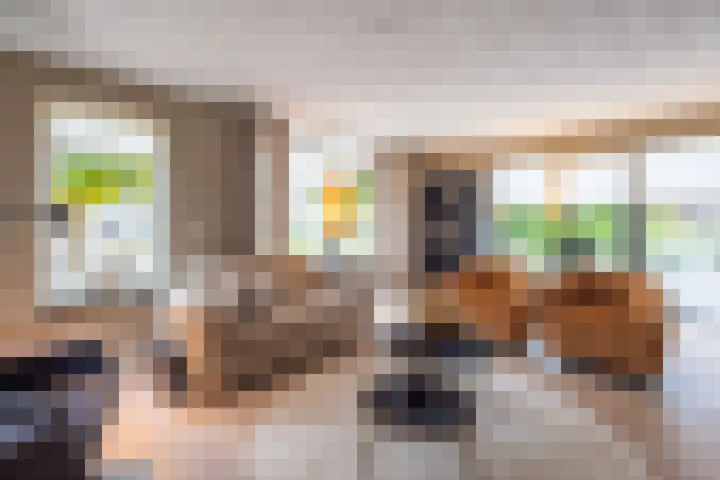 Erve Campjan 16 Rijssen thumbnail 12