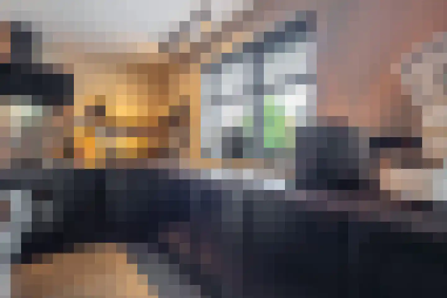 Erve Campjan 16 Rijssen thumbnail 15