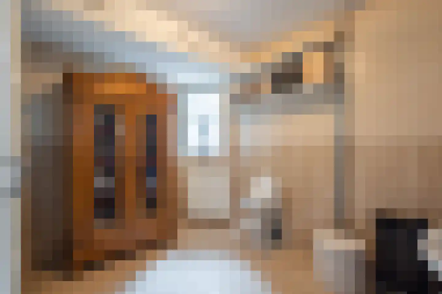 Erve Campjan 16 Rijssen thumbnail 17