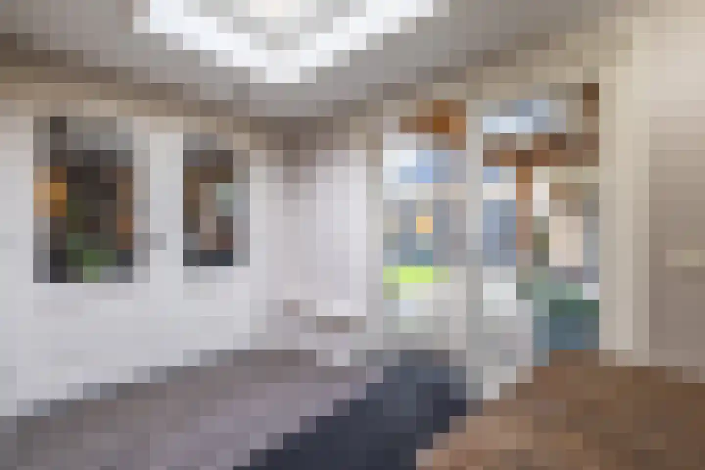 Erve Campjan 16 Rijssen thumbnail 25
