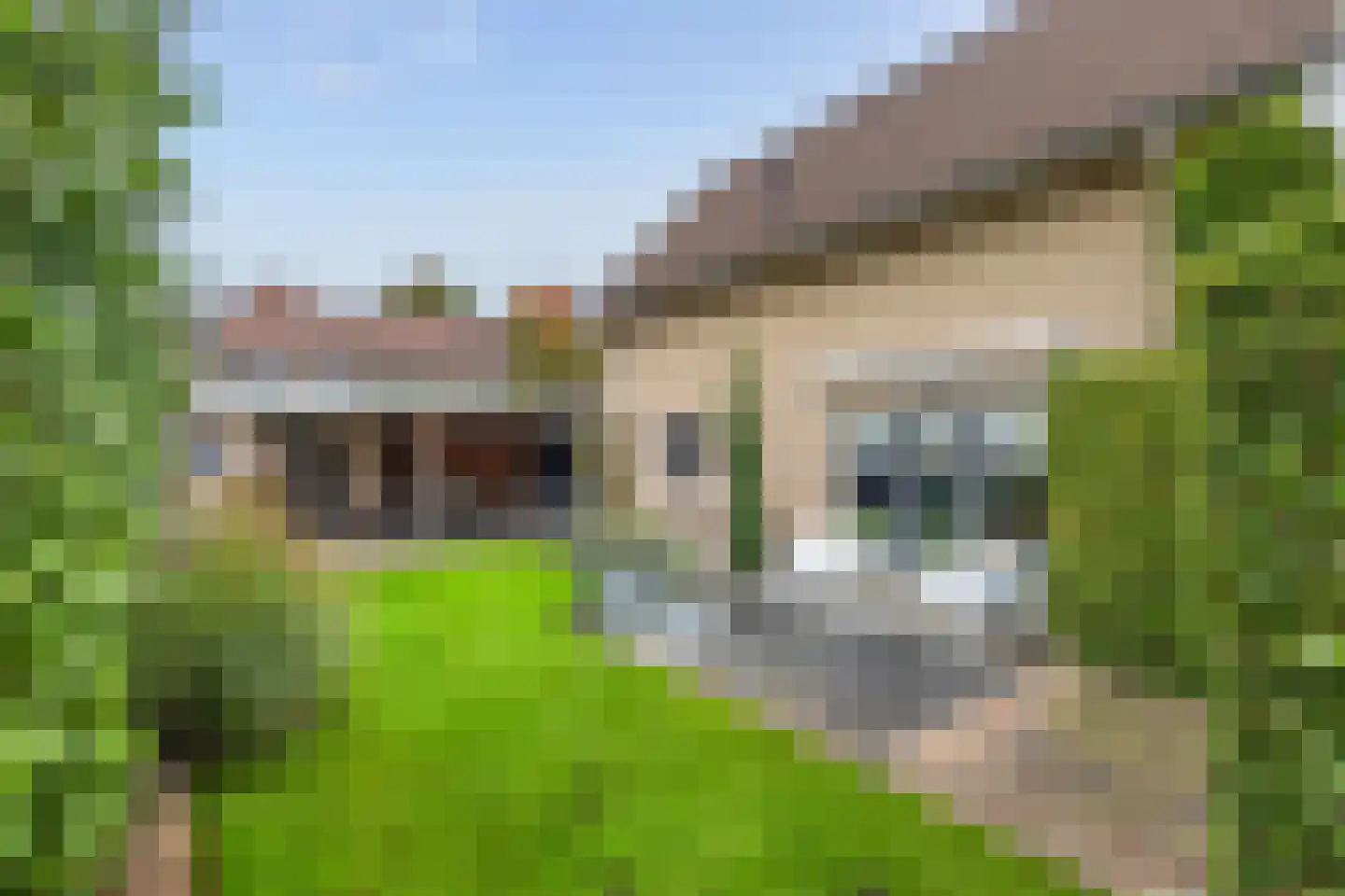 Erve Campjan 16 Rijssen thumbnail 4