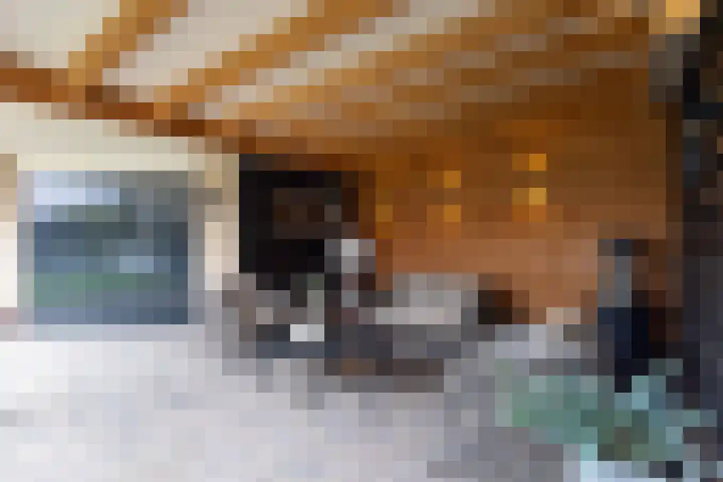 Erve Campjan 16 Rijssen thumbnail 46