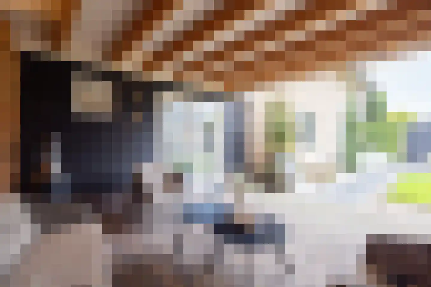Erve Campjan 16 Rijssen thumbnail 48