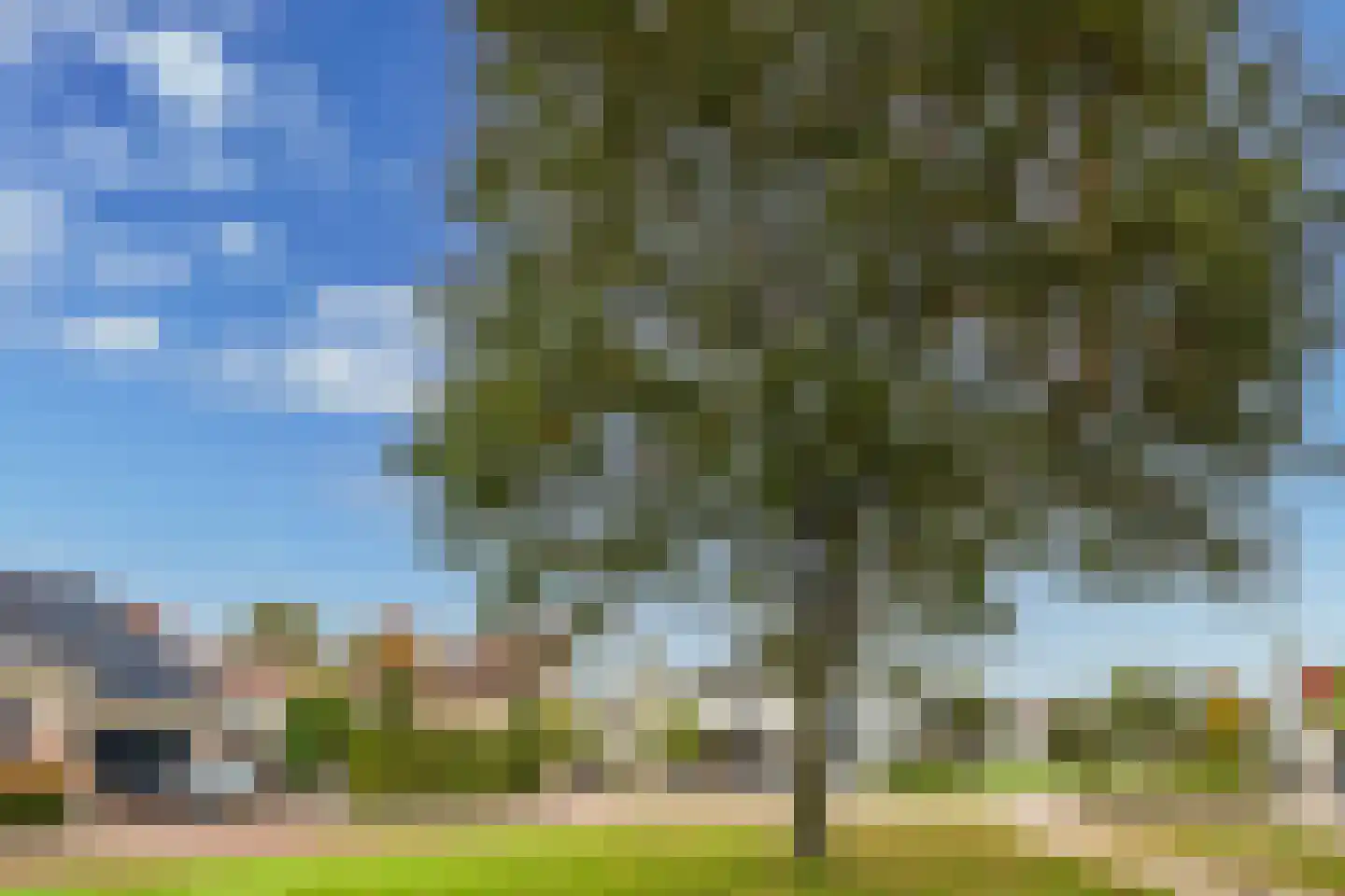 Erve Campjan 16 Rijssen thumbnail 50
