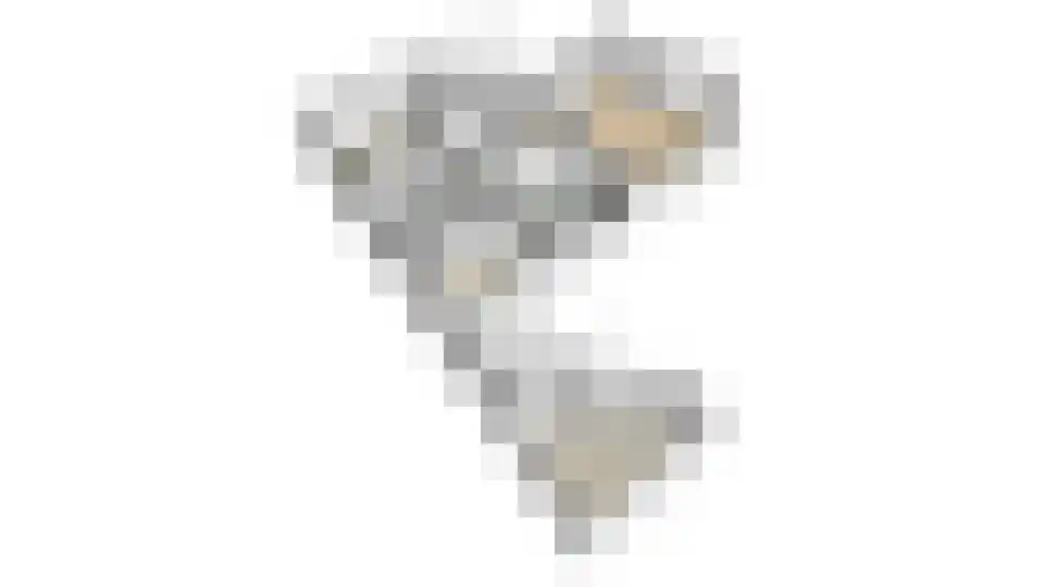 Erve Campjan 16 Rijssen thumbnail 53