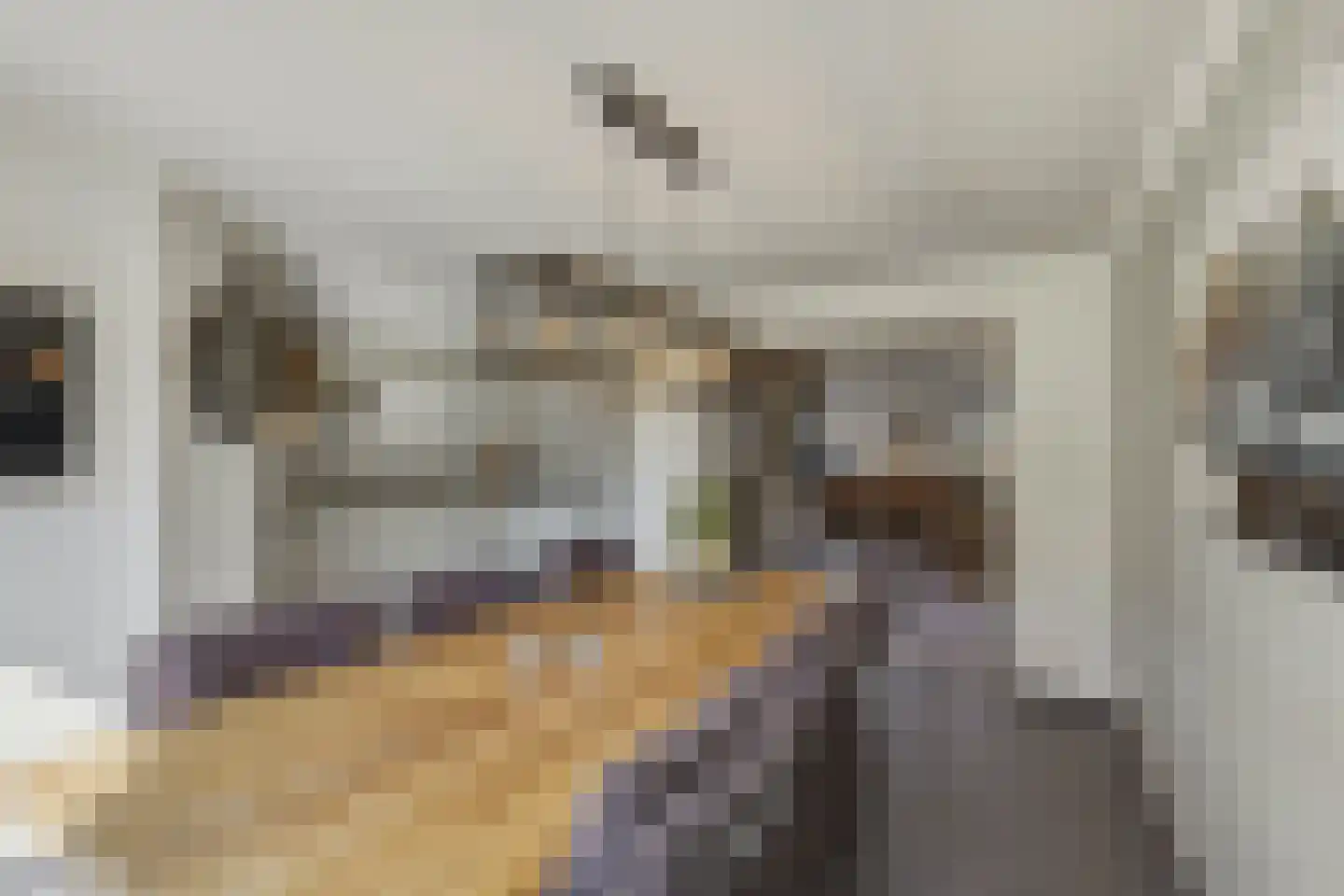 Erve De Plecht 10 Enter thumbnail 10