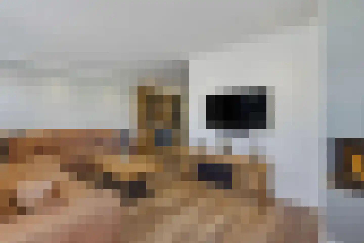 Erve De Plecht 10 Enter thumbnail 12