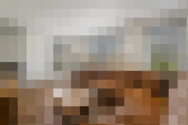 Erve De Plecht 10 Enter thumbnail 13