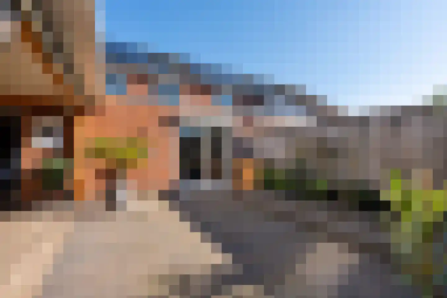 Erve De Plecht 10 Enter thumbnail 24