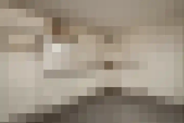Erve De Plecht 10 Enter thumbnail 8