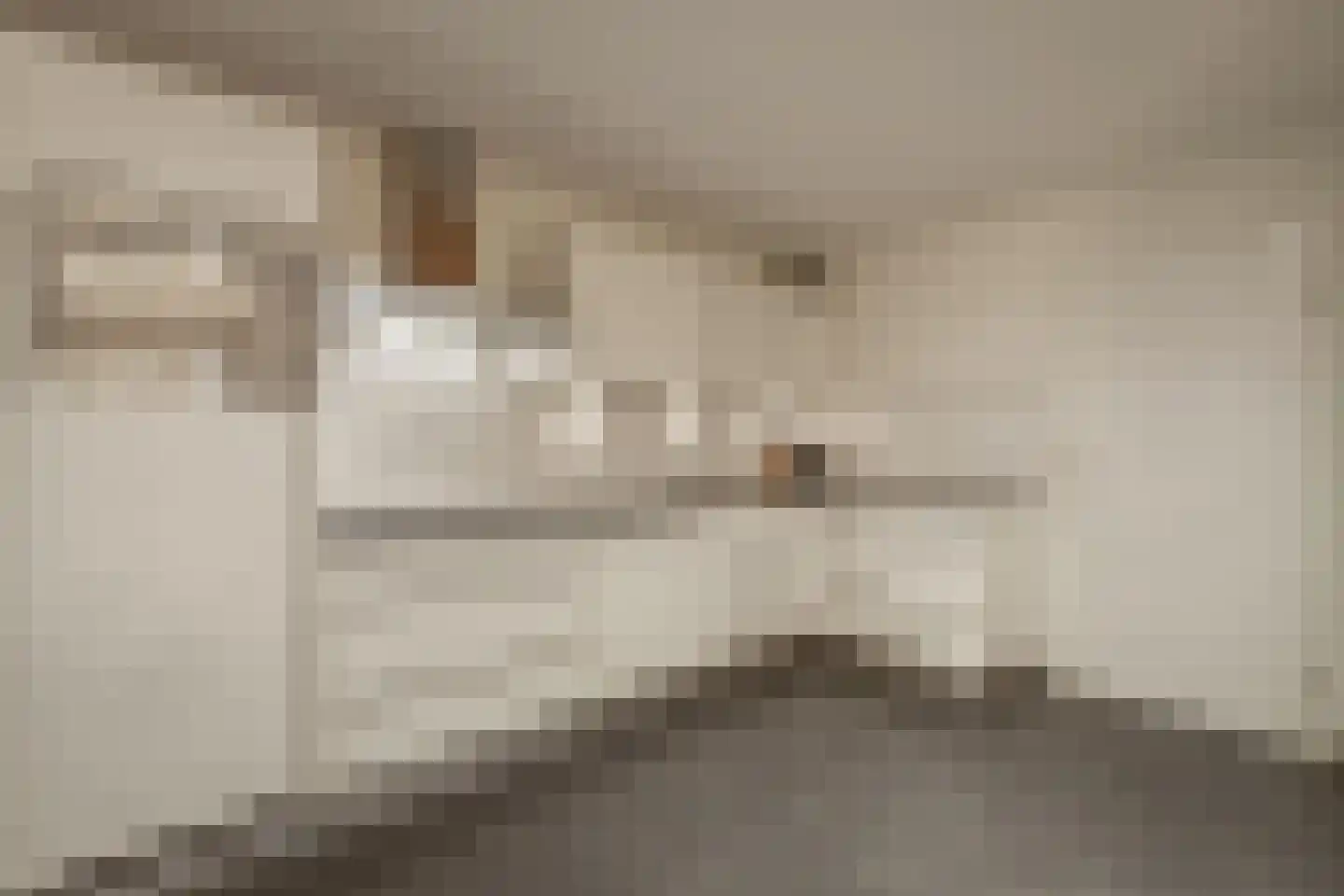 Erve De Plecht 10 Enter thumbnail 8