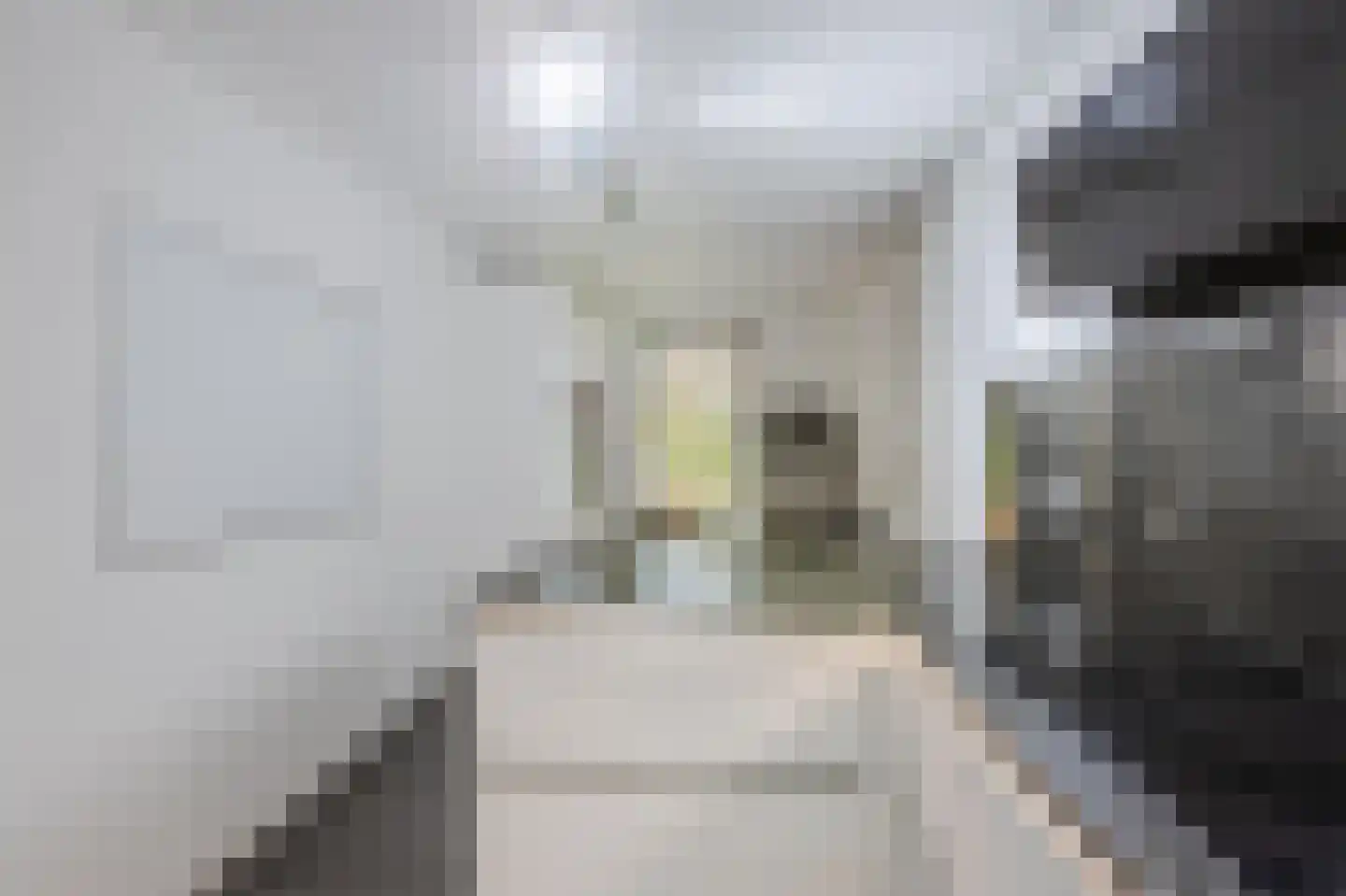 Erve Derkman 2 Oldenzaal thumbnail 23