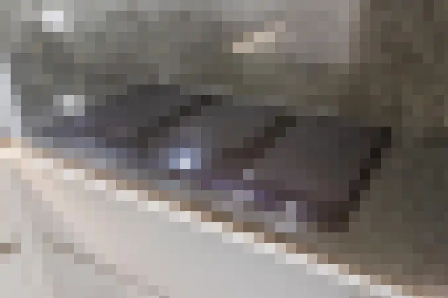 Erve Derkman 2 Oldenzaal thumbnail 24