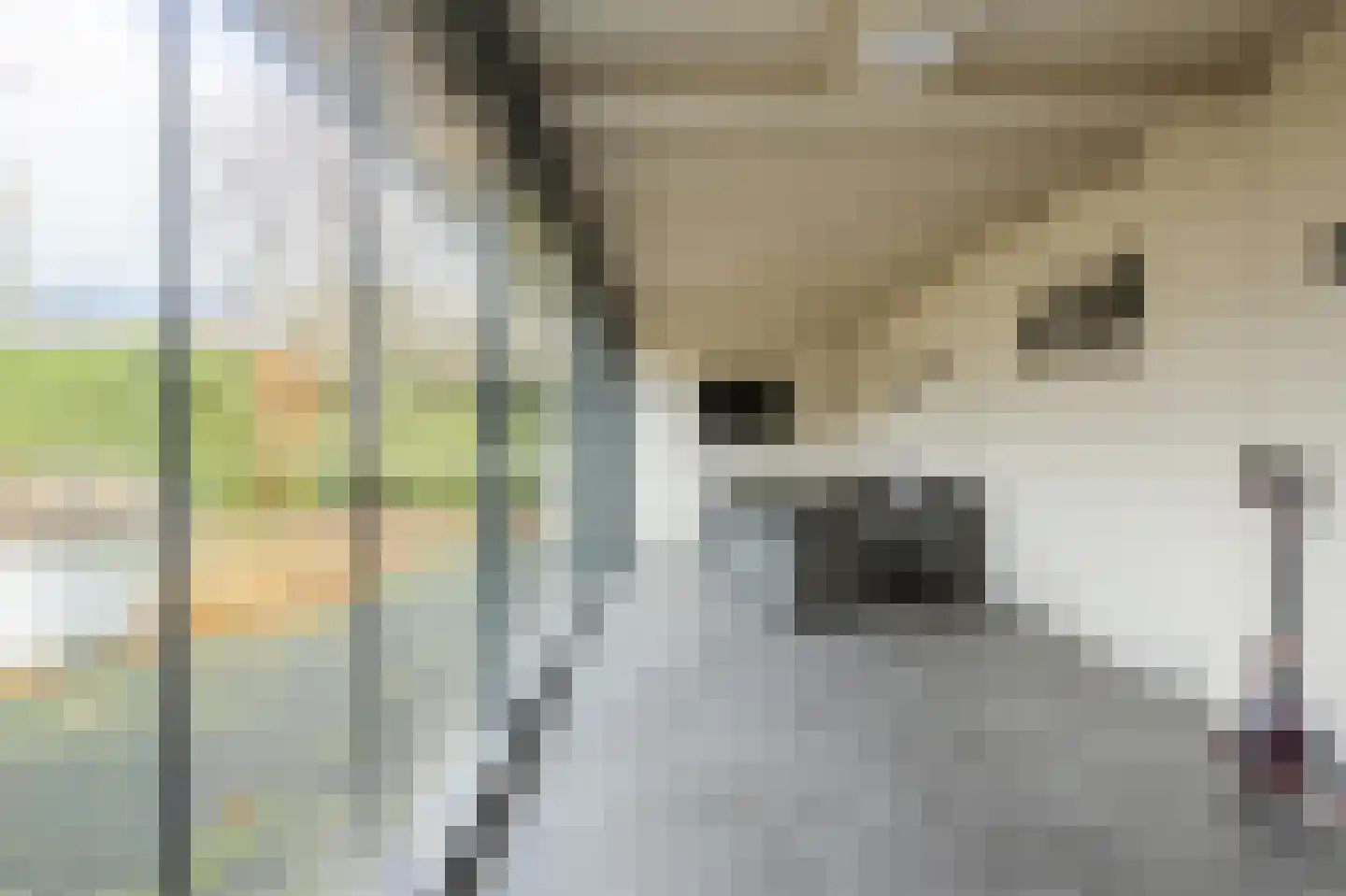 Erve Derkman 2 Oldenzaal thumbnail 32