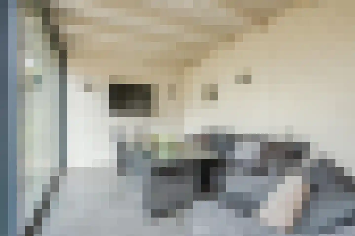 Erve Derkman 2 Oldenzaal thumbnail 35