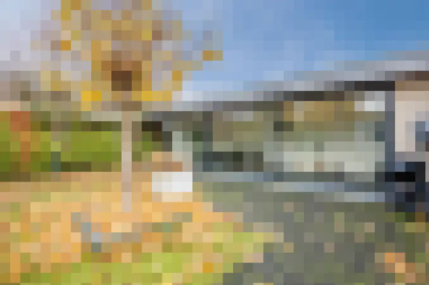 Erve Derkman 2 Oldenzaal thumbnail 65