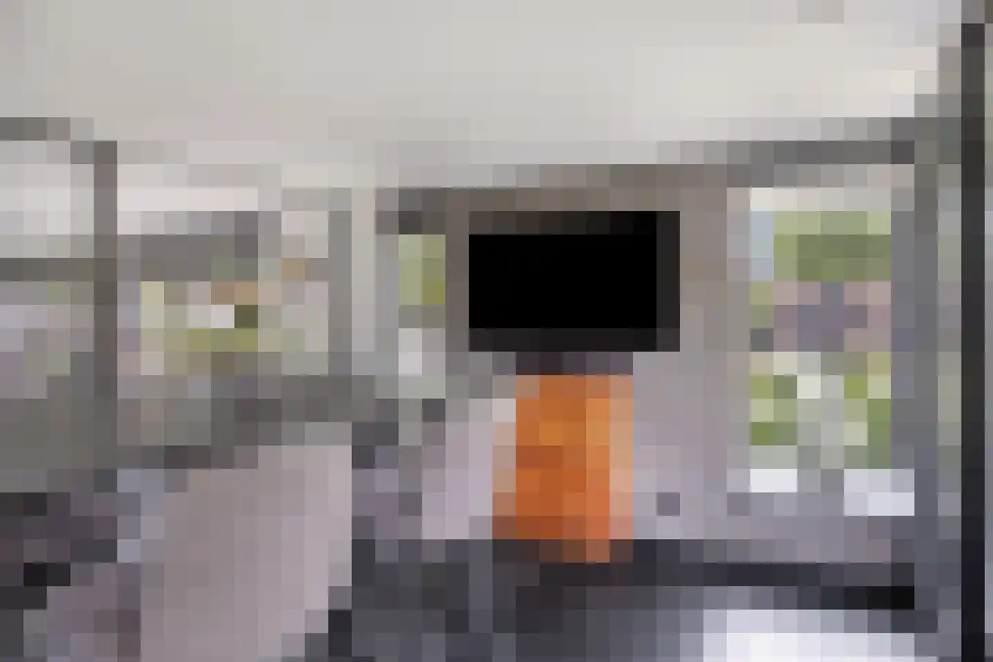 Erve Derkman 8 Oldenzaal thumbnail 13
