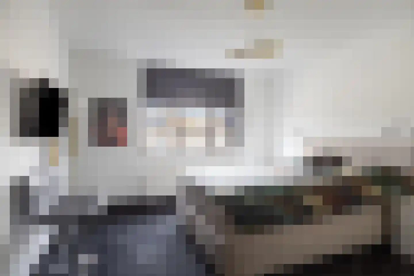 Erve Derkman 8 Oldenzaal thumbnail 22