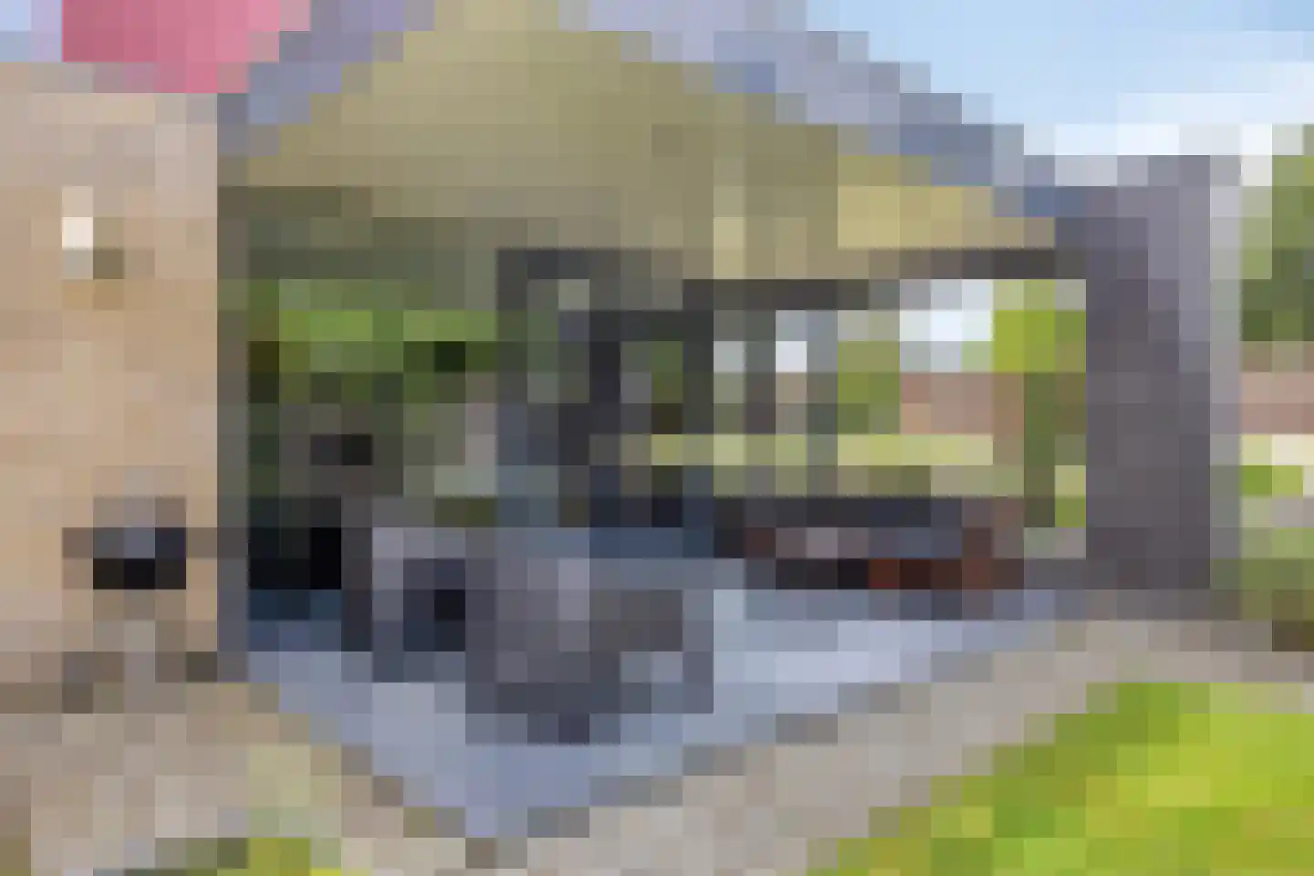 Erve Derkman 8 Oldenzaal thumbnail 31