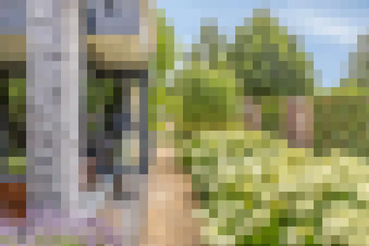 Erve Derkman 8 Oldenzaal thumbnail 36