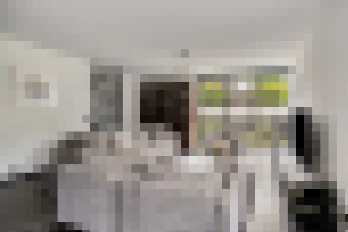 Erve Derkman 8 Oldenzaal thumbnail 4
