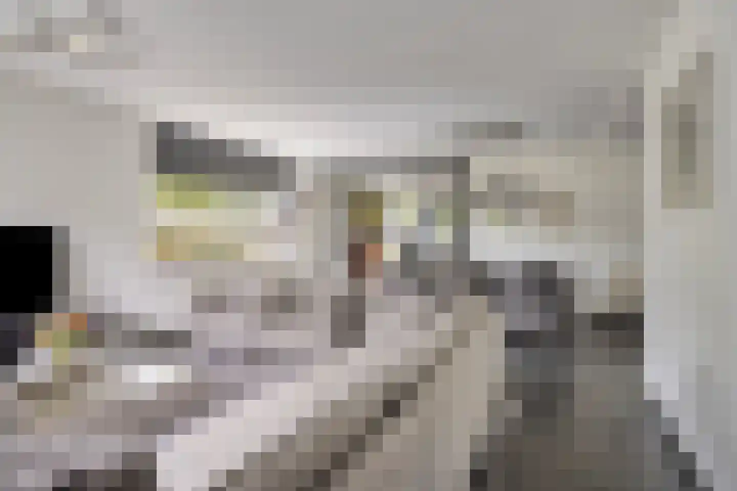 Erve Derkman 8 Oldenzaal thumbnail 5