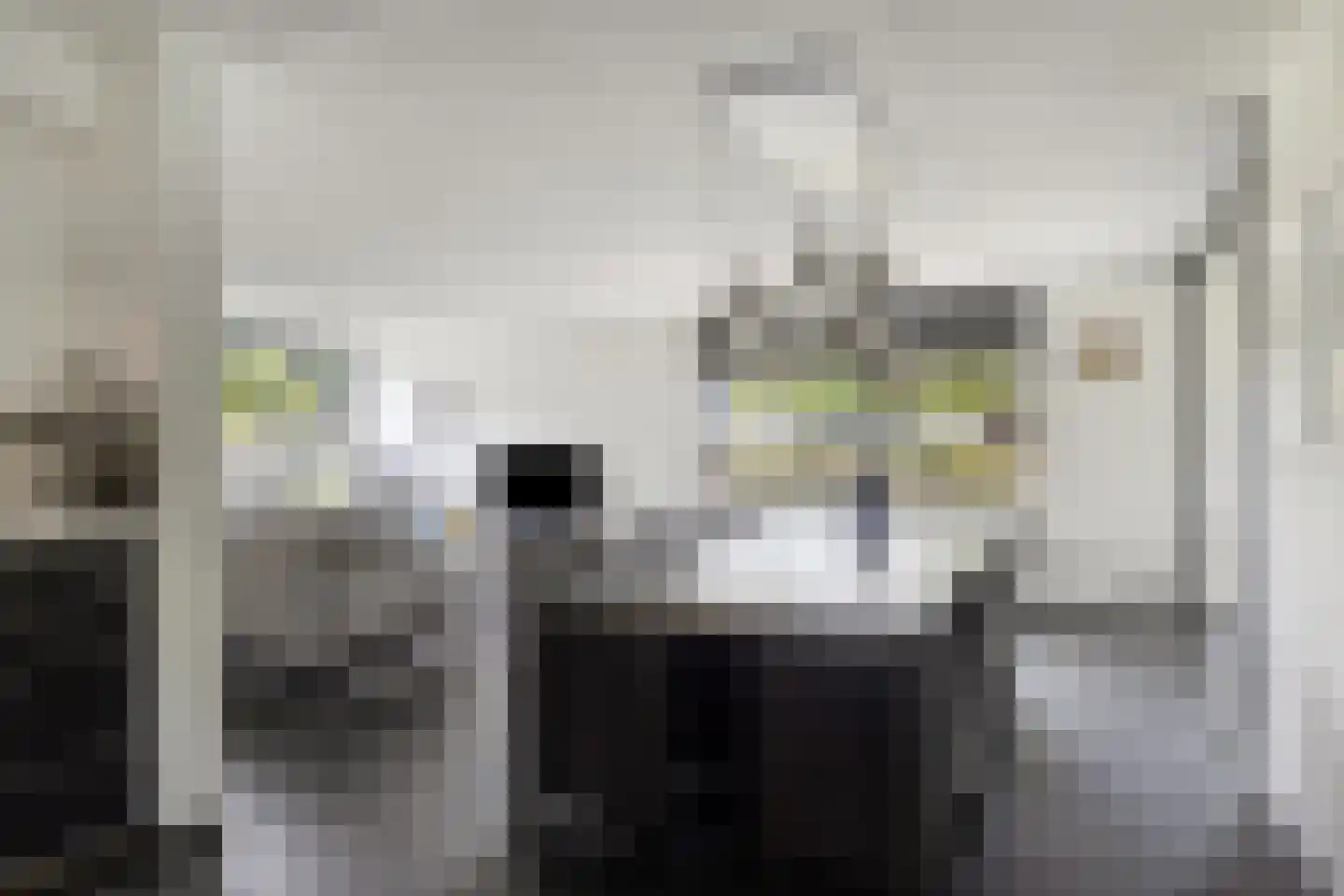 Erve Derkman 8 Oldenzaal thumbnail 6