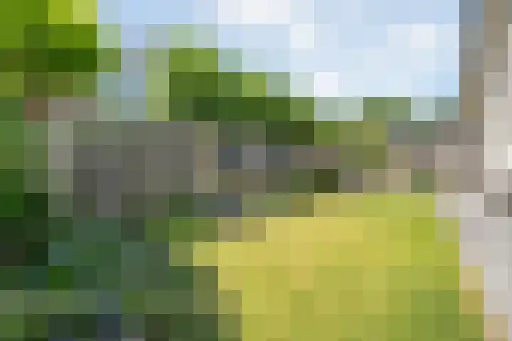 Erve Deterd 5 Oldenzaal thumbnail 24