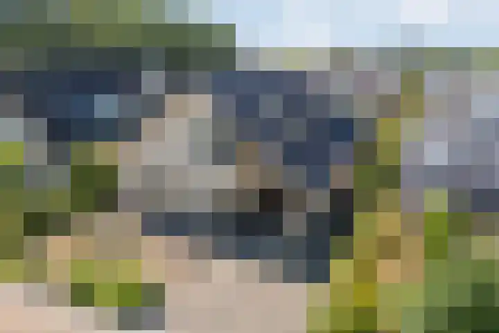 Erve Deterd 5 Oldenzaal thumbnail 5