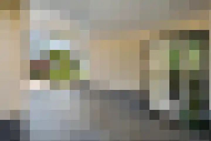 Erve Deterd 5 Oldenzaal thumbnail 6