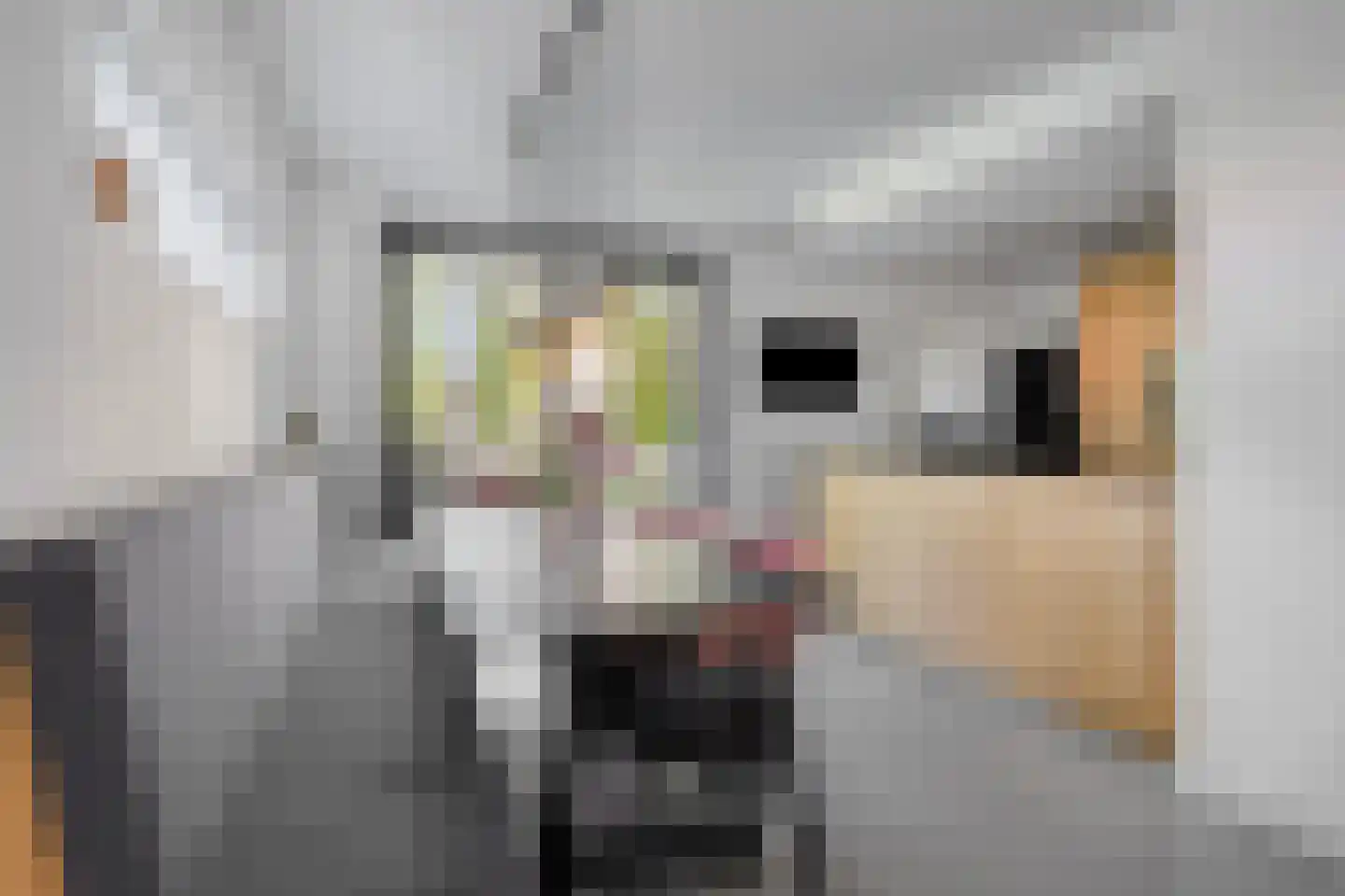 Erve Effinck 1 Enter thumbnail 11