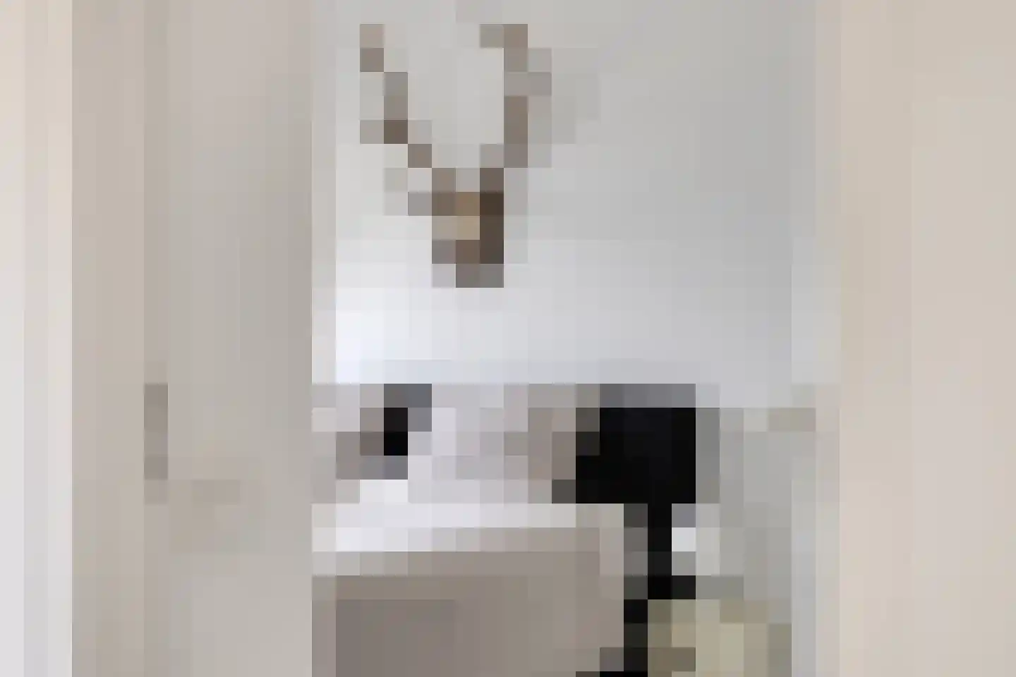 Erve Effinck 1 Enter thumbnail 21