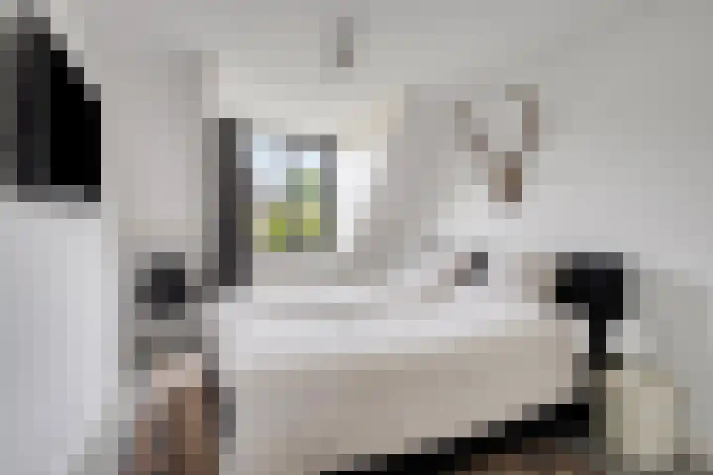 Erve Effinck 1 Enter thumbnail 22