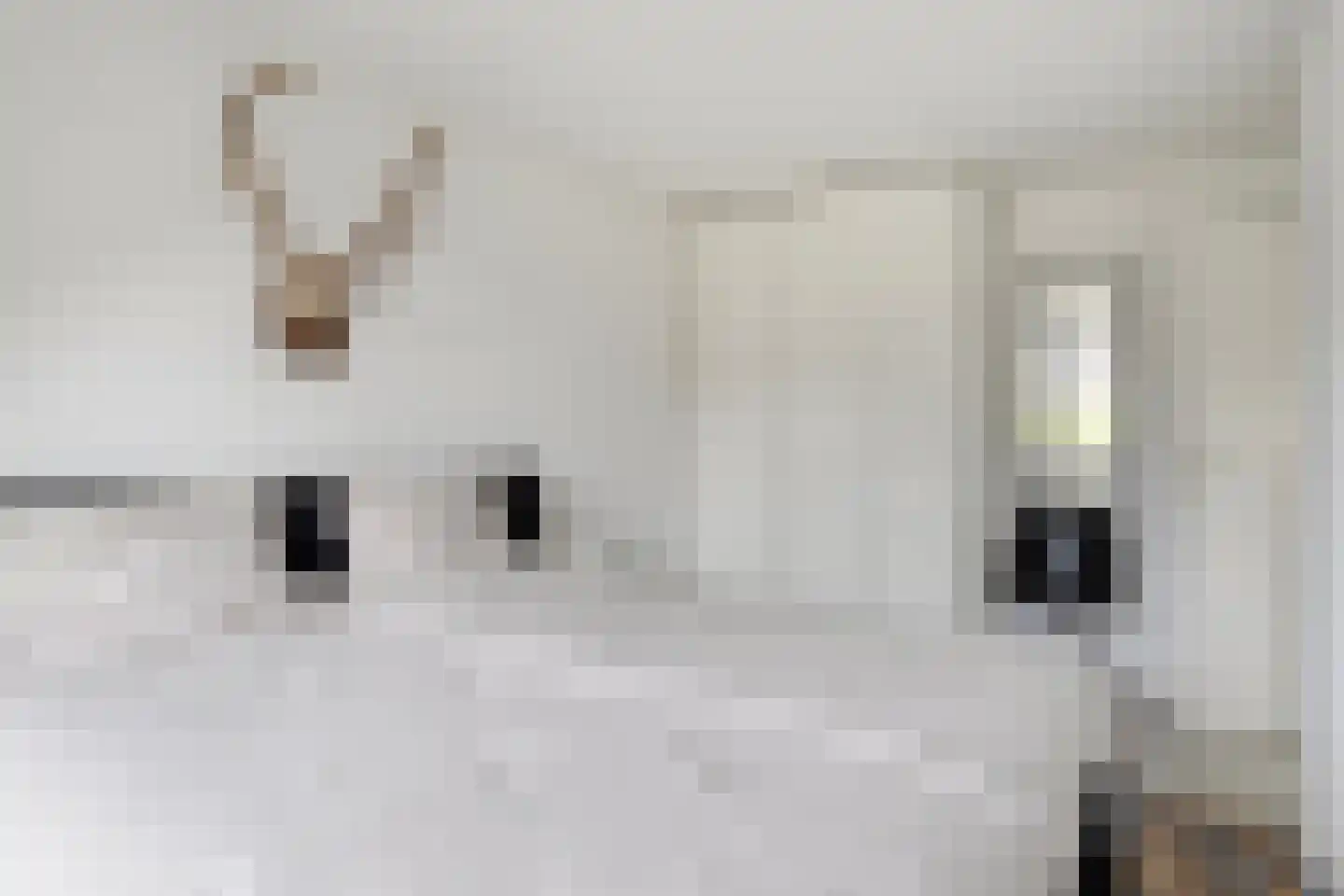 Erve Effinck 1 Enter thumbnail 23