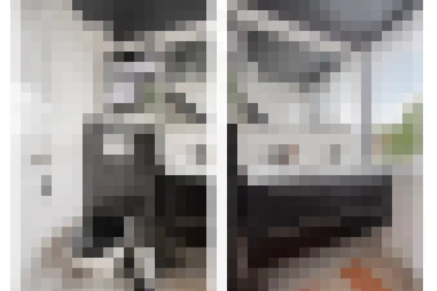 Erve Effinck 1 Enter thumbnail 26